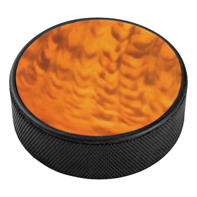 Mesmerising seashell hockey puck (3/4)