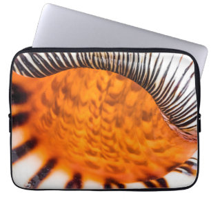 Mesmerising seashell laptop sleeve