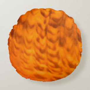 Mesmerising seashell round cushion