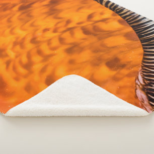 Mesmerising seashell sherpa blanket