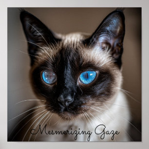 Mesmerizing Gaze: Siamese Cat Poster