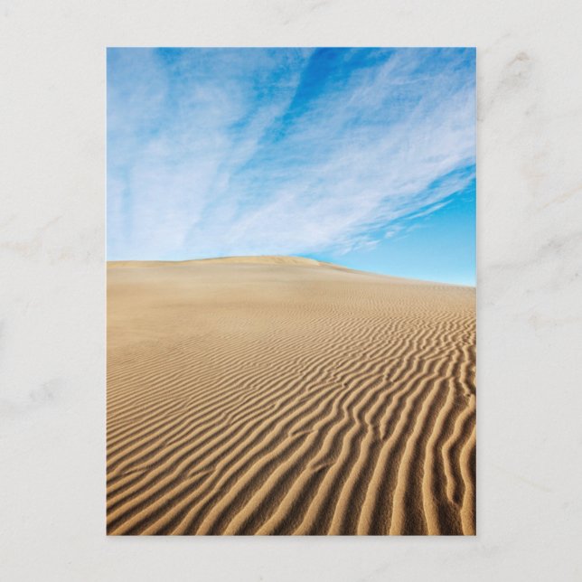 Mesquite Flats Sand Dunes Postcard (Front)