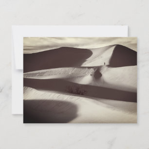 Mesquite Sand Dunes Death Valley Postcard