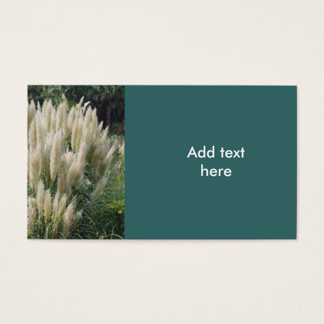 Message Card (Front)