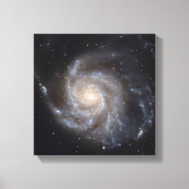 Messier 101, the Pinwheel Galaxy Canvas Print (Front)