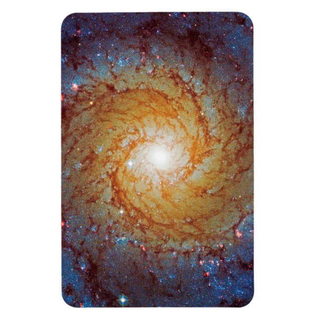 Messier 74 Spiral Galaxy Outer Space Photo Magnet (Vertical)