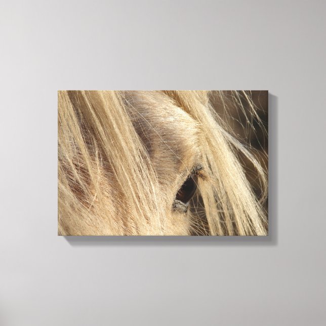 Messy Mane Canvas Print (Front)
