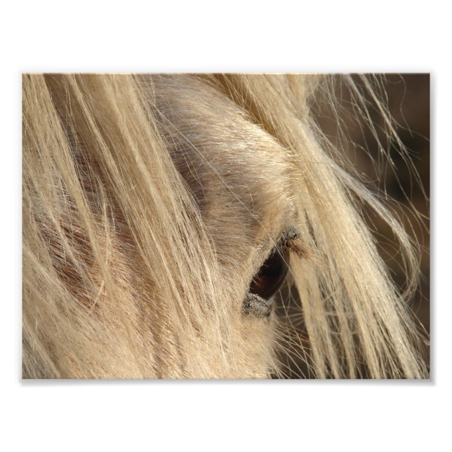 Messy Mane Day Photo Print (Front)