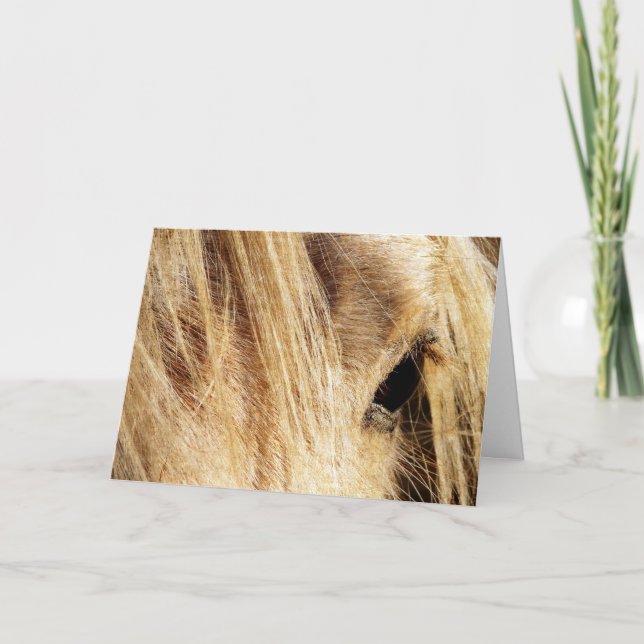 Messy Mane, Father's DAy Card (Front)