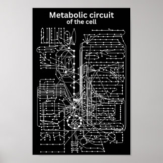 Metabolic circuit of the cell poster