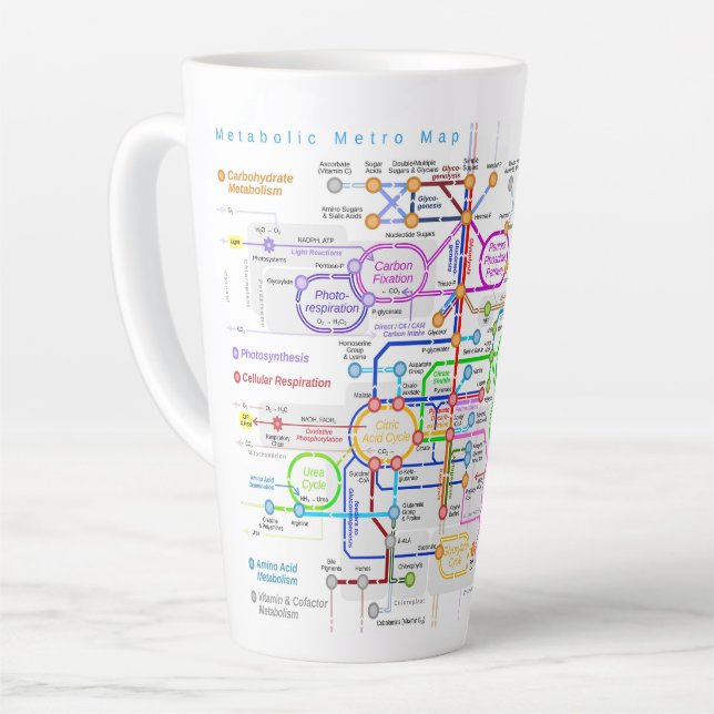 Metabolic pathway  latte mug (Left Angle)