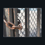 Metal Chain Link Fence Original NYC Photograph Postcard<br><div class="desc">Features an original colour photograph of a rusty metal chain and a chain link fence. Photographed in New York City.

Lots of other NYC photographs and illustrations are also available from this shop. Don't see exactly what you're looking for? Contact Rebecca to have a product customised just for you!</div>