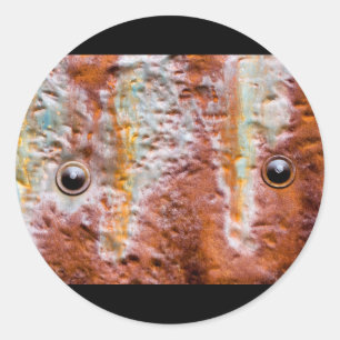 metal eyes rust classic round sticker