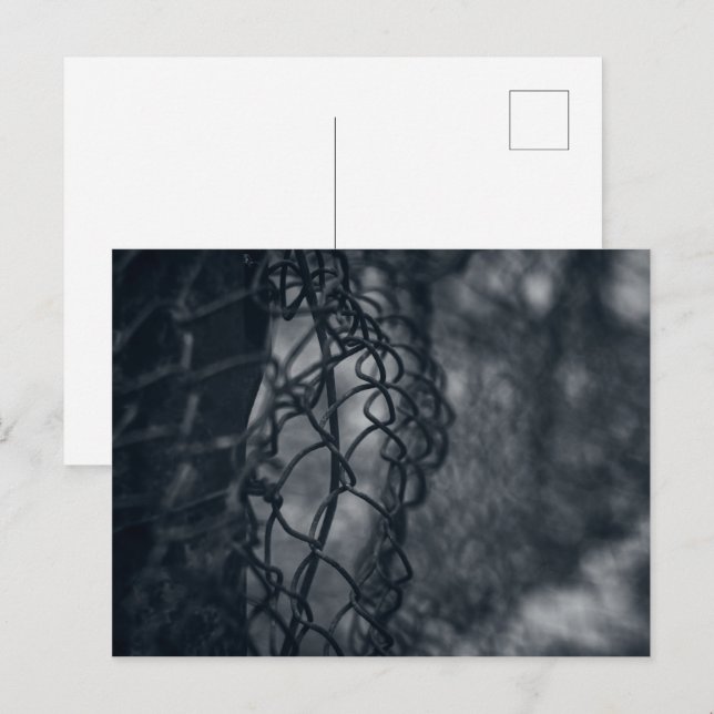 Metal fence grid fine art postcard (Front/Back)