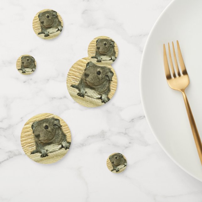 metal guinea pig confetti (Group)