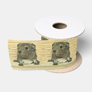 metal guinea pig satin ribbon