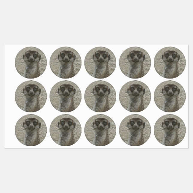metal meerkat (Sheet)