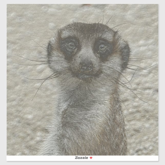 metal meerkat (Sheet)