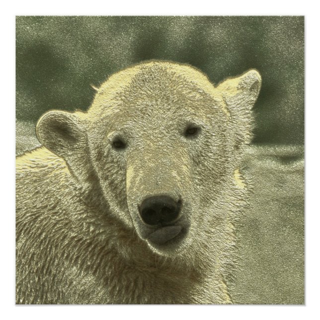 metal polar bear poster (Front)