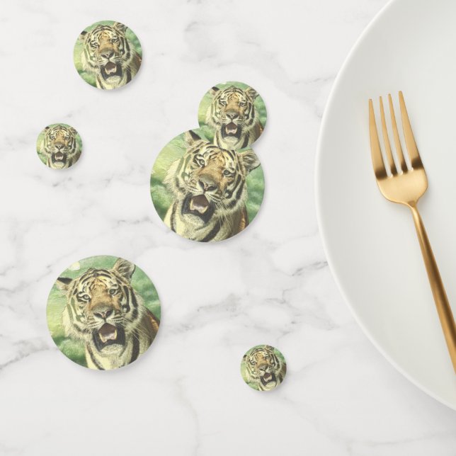 metal tiger confetti (Group)