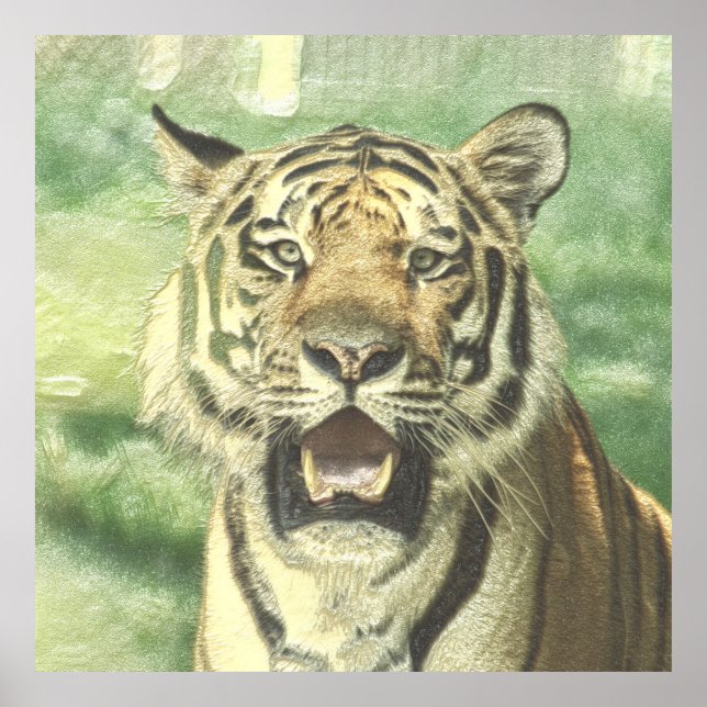 metal tiger poster (Front)