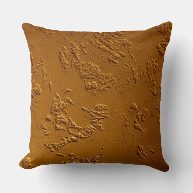 Metallic bronze cushion (Front)