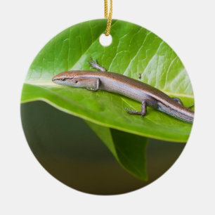 Metallic Cool Skink Niveoscincus Metallicus Ceramic Tree Decoration