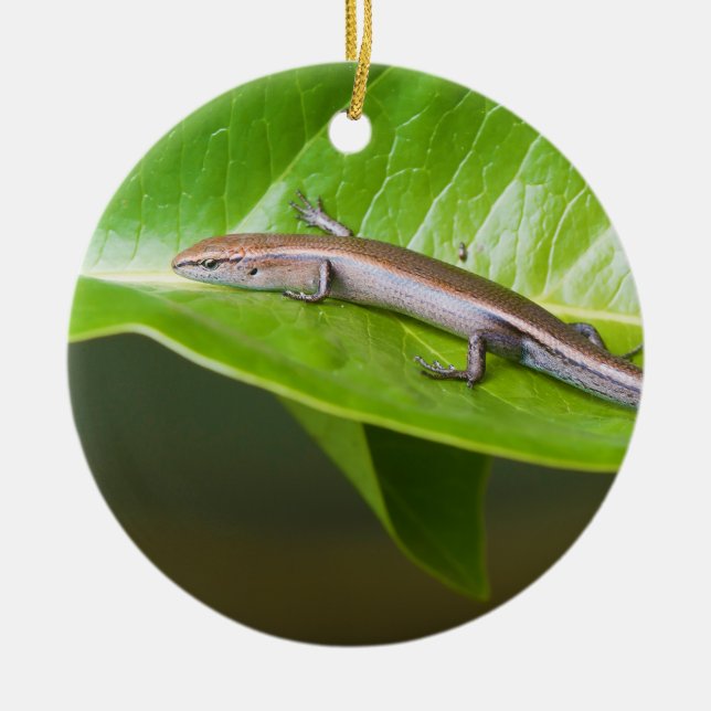 Metallic Cool Skink Niveoscincus Metallicus Ceramic Tree Decoration (Front)