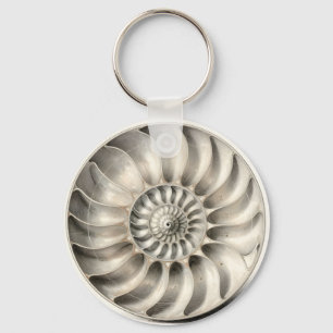 Metallic Nautilus Shell Spiral Geometric Key Ring