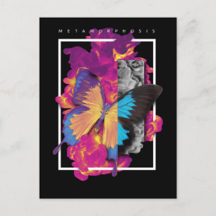 Metamorphosis  Butterfly Postcard