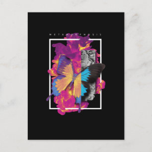 Metamorphosis Butterfly Postcard