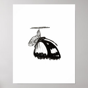 Metamorphosis Poster