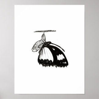 Metamorphosis Poster