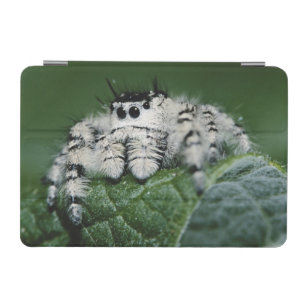 Metaphid Jumping Spider iPad Mini Cover