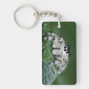Metaphid Jumping Spider Key Ring