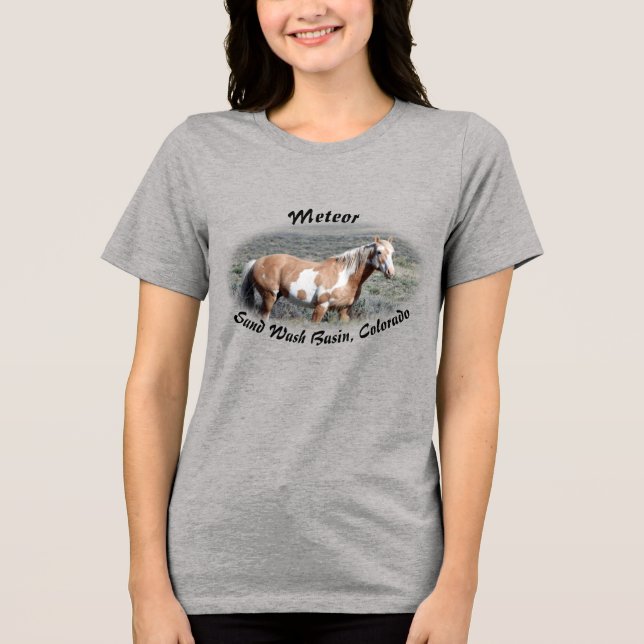 Meteor of Sand Wash Basin Tri-Blend Shirt (Front)