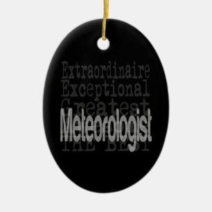Meteorologist Extraordinaire Ceramic Tree Decoration
