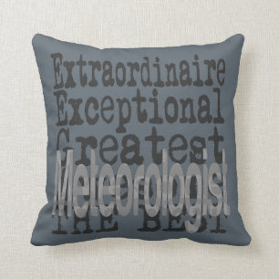 Meteorologist Extraordinaire Cushion