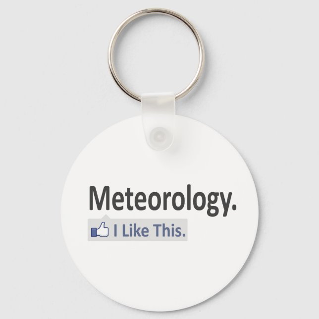 Meteorology...I Like This Key Ring (Front)