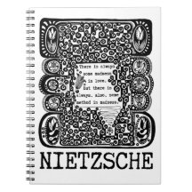 method in MADNESS philosophy quote by Nietzsche