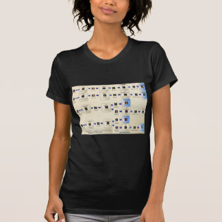 Metin2 alxeimia T-Shirt