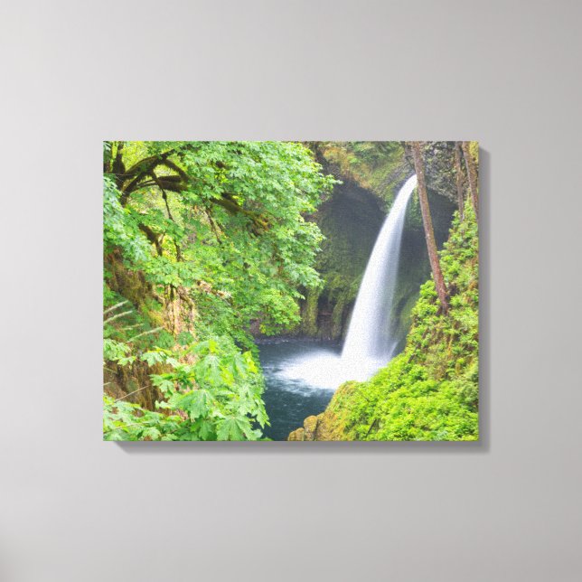 Metlako Falls Canvas Print (Front)