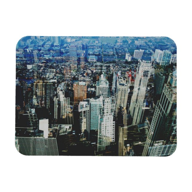 Metropolis VIII 2 Magnet (Horizontal)