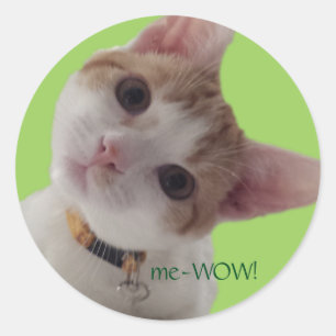 meWOW Curious Cat Good Job Customisable Sticker