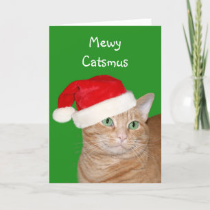 Mewy Catsmus Holiday Card