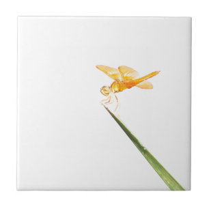 Mexican Amber wing dragonfly Tile
