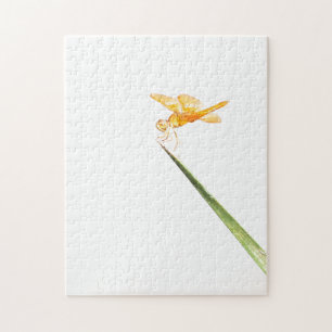 Mexican amber-wing jigsaw puzzle