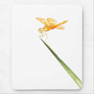 Mexican amber-wing mouse mat