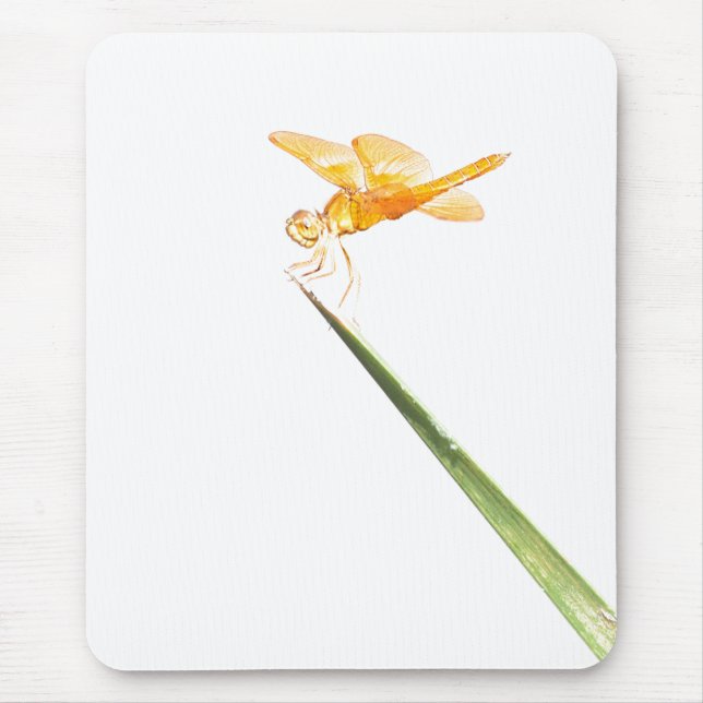 Mexican amber-wing mouse mat (Front)