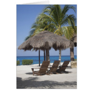 Mexican Beach Paradise